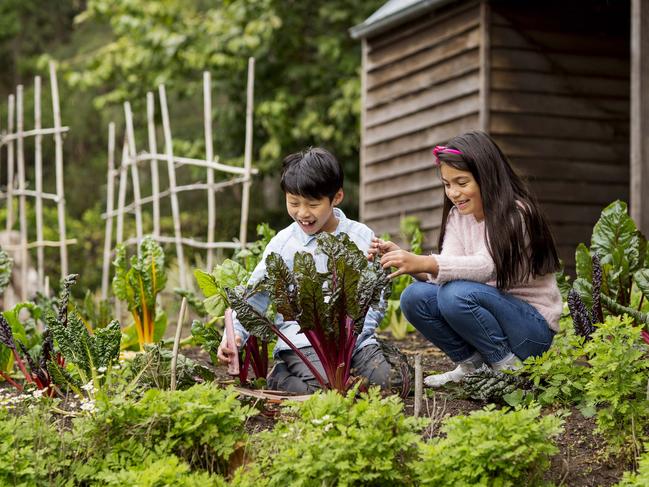 Winter is a great time to get the kids into the garden. Picture: James Horan/Vaucluse House