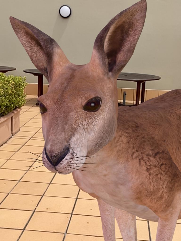 You can walk up close to where the animal has been rendered and it will get bigger on your phone screen.