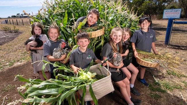 Tiny schools like Alvie Primary School have seen a huge surge in enrolments on the back of a shift toward country living. Picture: Rob Leeson