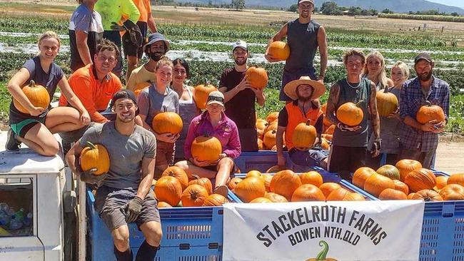 HARDWORK: Some of the hardworking team at Stackleroth Farms. . Picture: Supplied