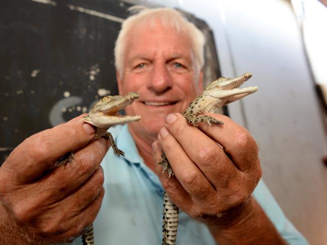 Koorana Crocodile Farm's John Lever with two new croc hatchlings.