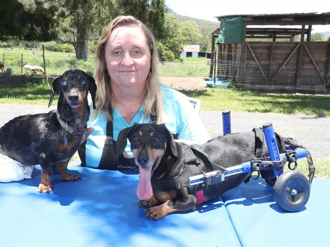 File photo of Lisa-Jayne Cameron of Storybook Farm pictured with Krumm (L) and Cody in Canungra in 2018. Picture: Richard Gosling