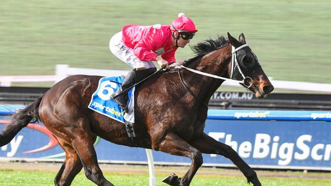 Boltsaver bolts in at Sandown. Picture: Pat Scala/Racing Photos via Getty Images