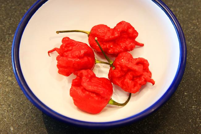 The Carolina Reaper chilli used in the Ring of Fire burger.