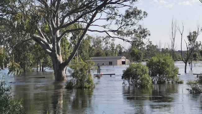 Flooding in Swan Reach on 11/12/22. Picture: Britta Zobel