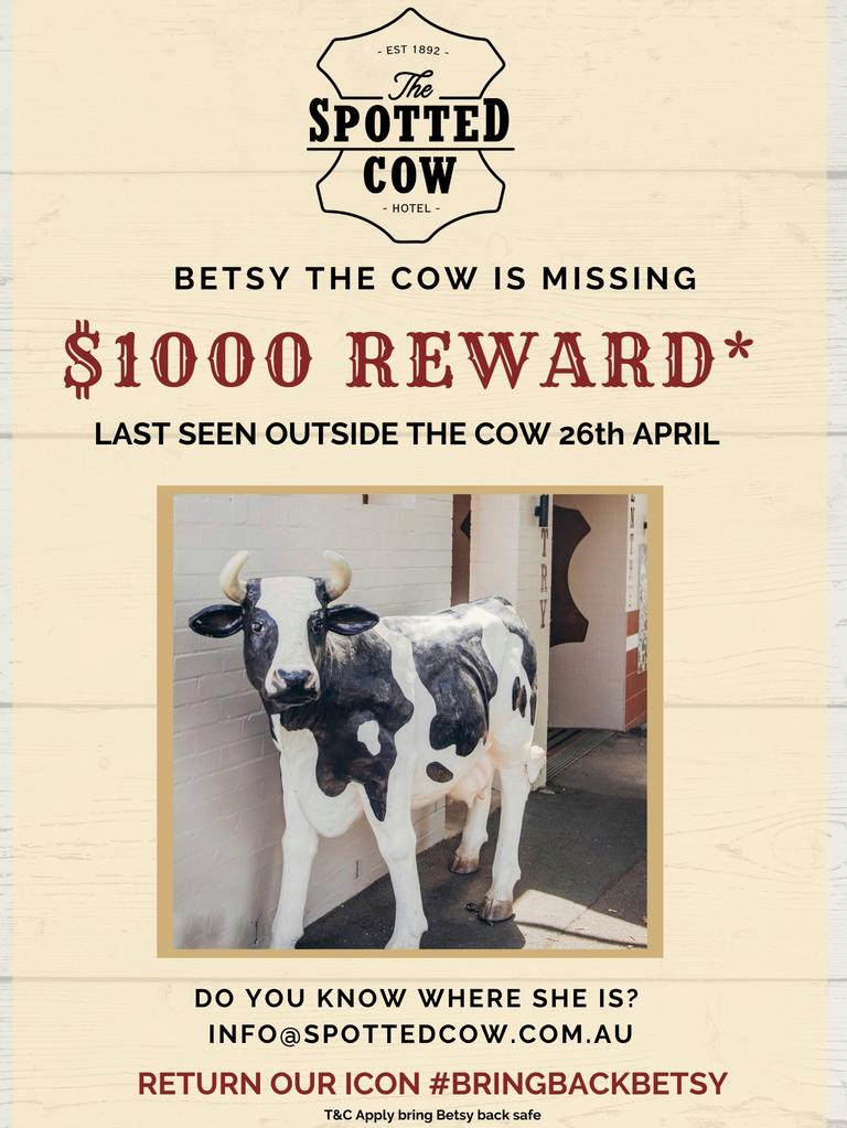 Have you heard the moos? The Spotted Cow's beloved Betsy the Cow has been stolen and the pub is offering a reward for her safe return. Picture: Contributed