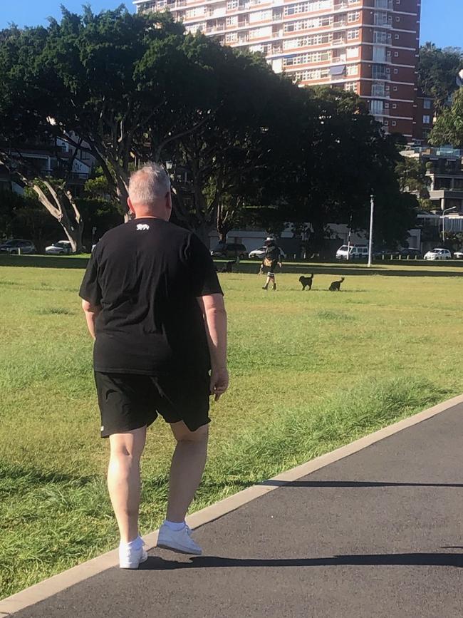 Mr Harwin walking along the foreshore at Rushcutters Bay Park on Saturday morning.