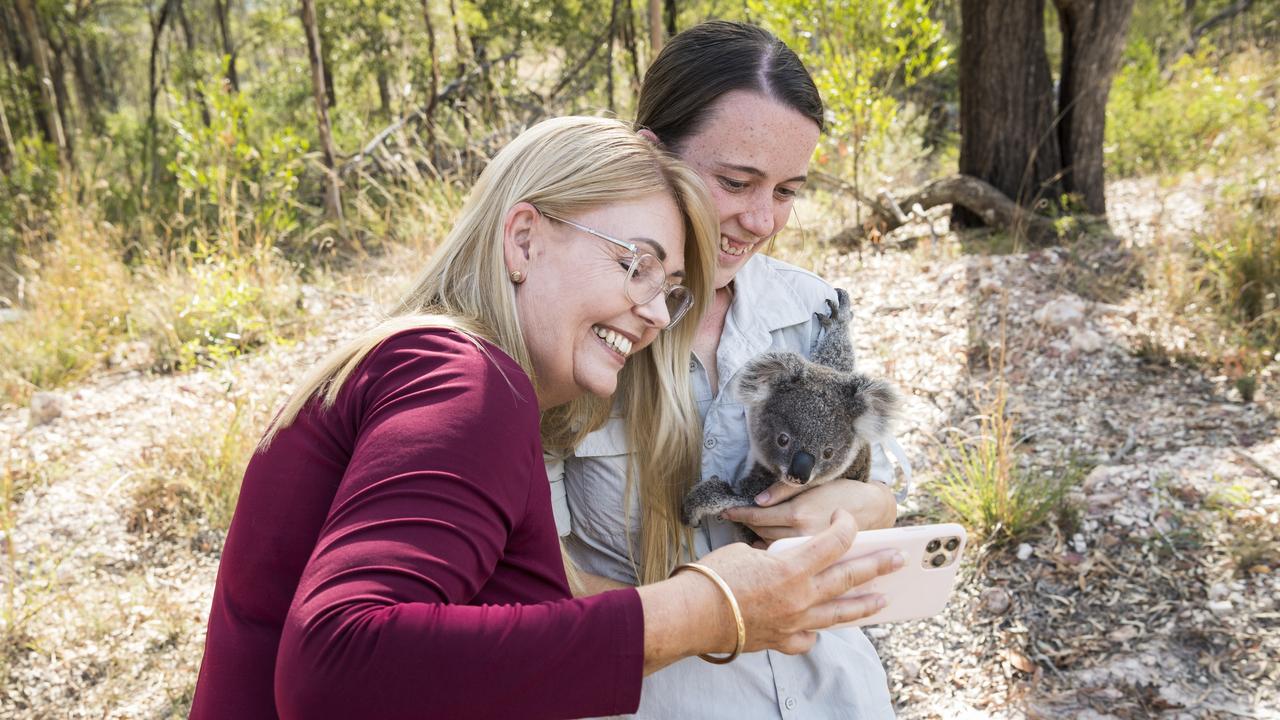 Koala, Land and Wildlife Support (KLAWS) volunteer Kiara Hill (left) introduces Natalie Fogarty of Vigour Graphics to her namesake Natalie the rescue koala.