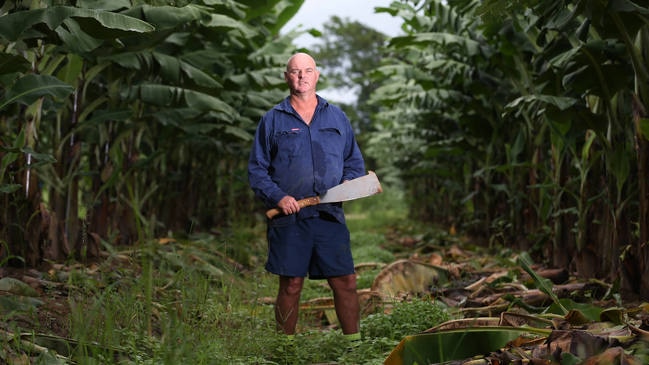 Tully banana farmer after Cyclone Yasi