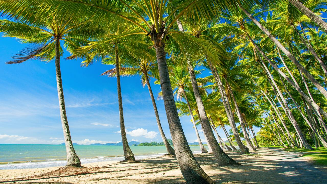 Palm Cove was praised by author Lizzie Pook for being relatively ‘crowd free’ and full of wildlife. Picture: iStock