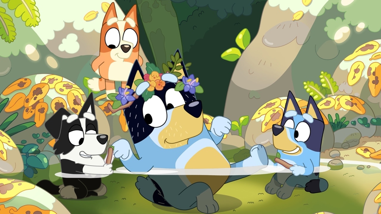 ‘Happy accident’ that Bluey writers came together