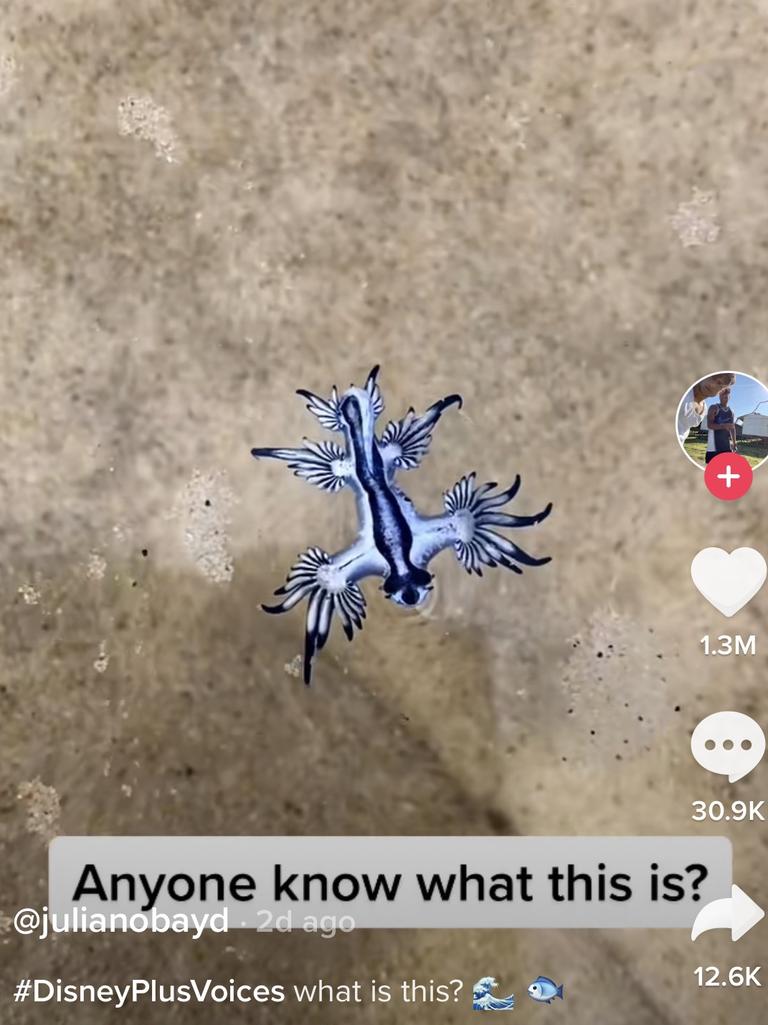 The video was met with thousands of comments.