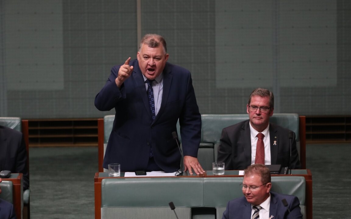 Craig Kelly's resignation from Liberal Party a 'horror for the government'