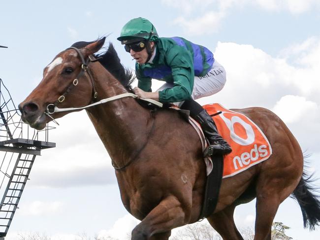 Jacquinot ridden by Damian Lane wins the H.D.F. McNeil Stakes at Caulfield Racecourse on August 27, 2022 in Caulfield, Australia. (Photo by George Sal/Racing Photos via Getty Images)