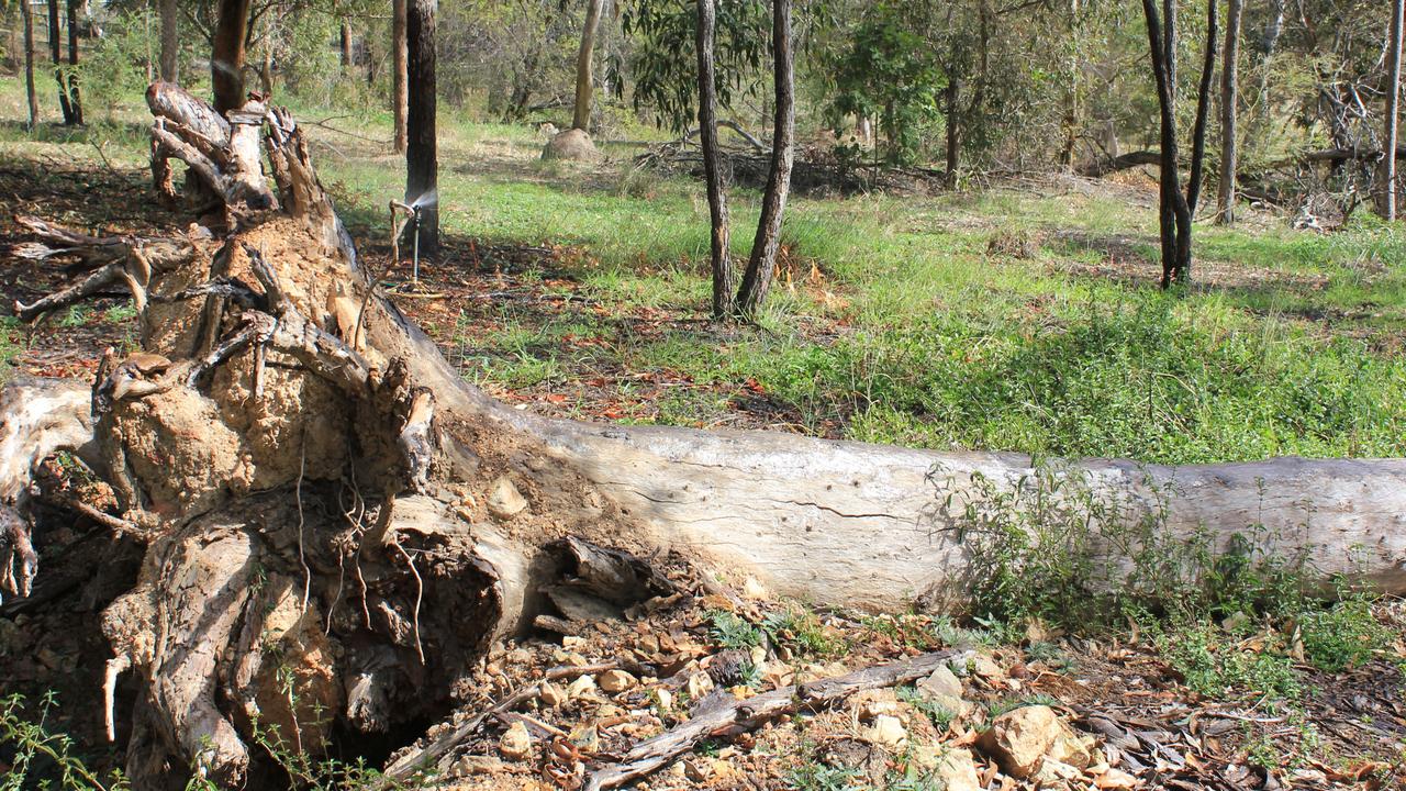 Brisbane’s Victoria Park left to rot: Residents outraged over neglect ...