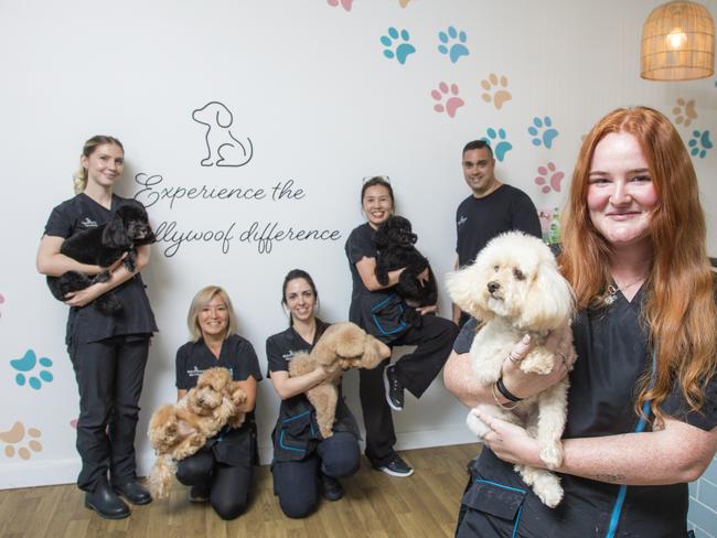 The team at ÃHollywoofÃ The winner of best dog groomers on the Gold Coast, L to R Owner Chris Jobsz , Maddie Maki Neste, Kaori Shepherd, Jade Huand, Monique Virgilio , Owner Chris Jobsz, and Kylie TurnbullPicture: Glenn Campbell