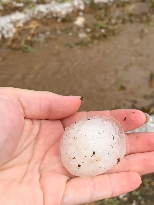 SOCIAL MEDIA IMAGE DISCUSS USE WITH YOUR EDITOR – Golf ball sized hailstones fell at another property in Eidsvold. (Supplied: Sharon Pointon)