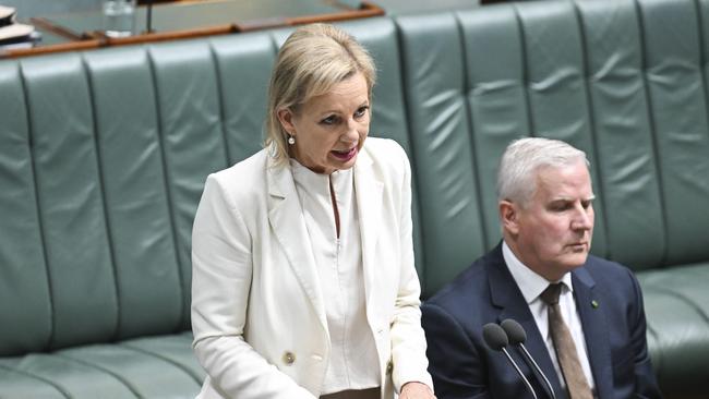 Deputy Leader of the Opposition Sussan Ley speaks in Parliament House in Canberra. Picture: NewsWire / Martin Ollman