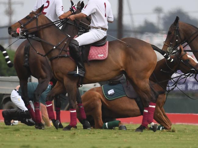 The Duke of Sussex ends up on his knees after tumbling off his horse. Picture: GAC / MEGA TheMegaAgency.com