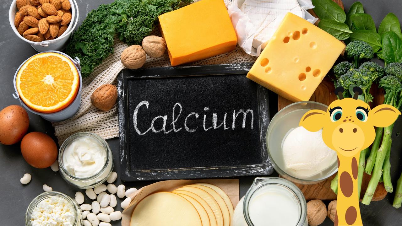 Calcium rich foods include milk, cheese, yoghurt, calcium-fortified soy milk, chia seeds and nut. Picture: Life Ed/supplied