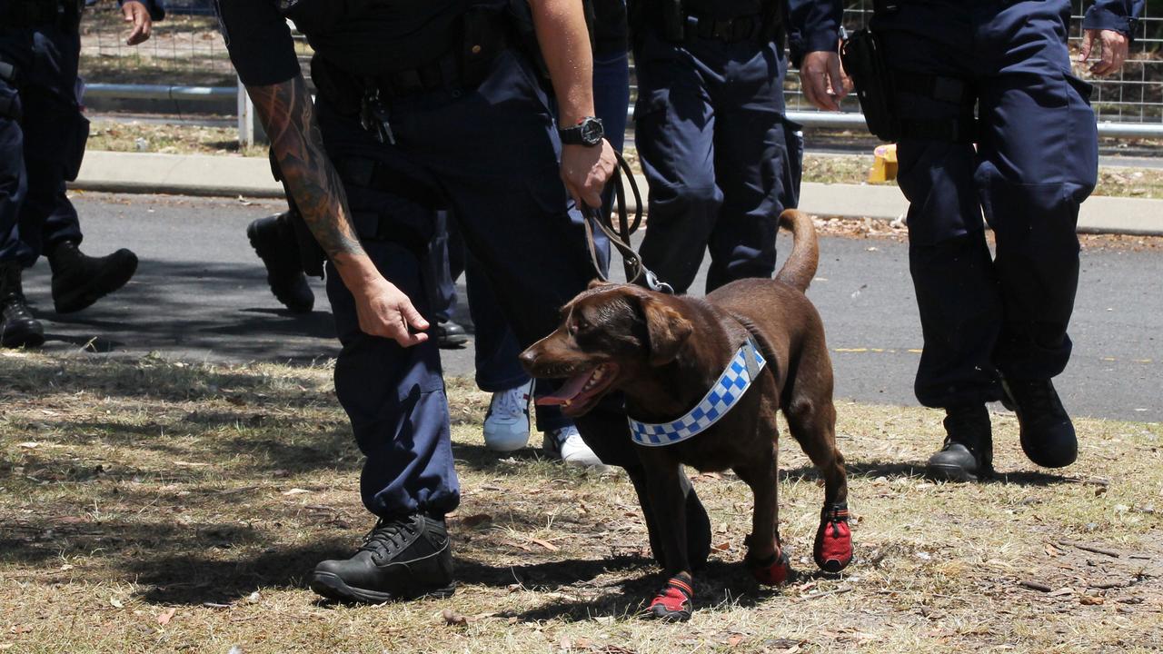 Police argue sniffer dogs are an effective way of ensuring community safety.