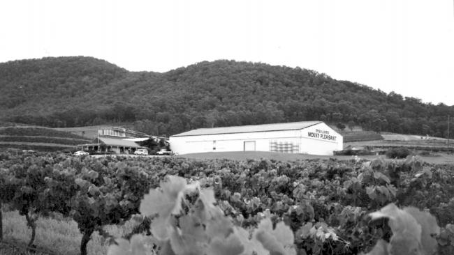 McWilliam's winery and vineyard in the Hunter Valley.