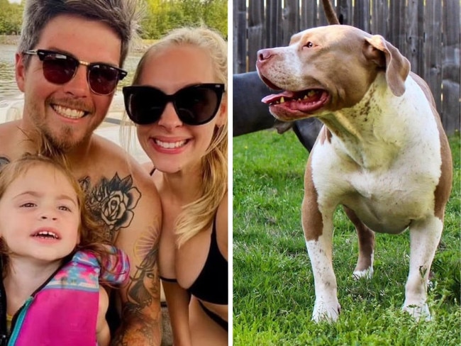 Two children were killed by the family's pit bulls.