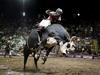 Cowboy Donovan Rutherfurd of Mt Isa in action during the Pro Bull Riding Australia Grand Finals in Townsville, 2023. Picture: Blair Jackson