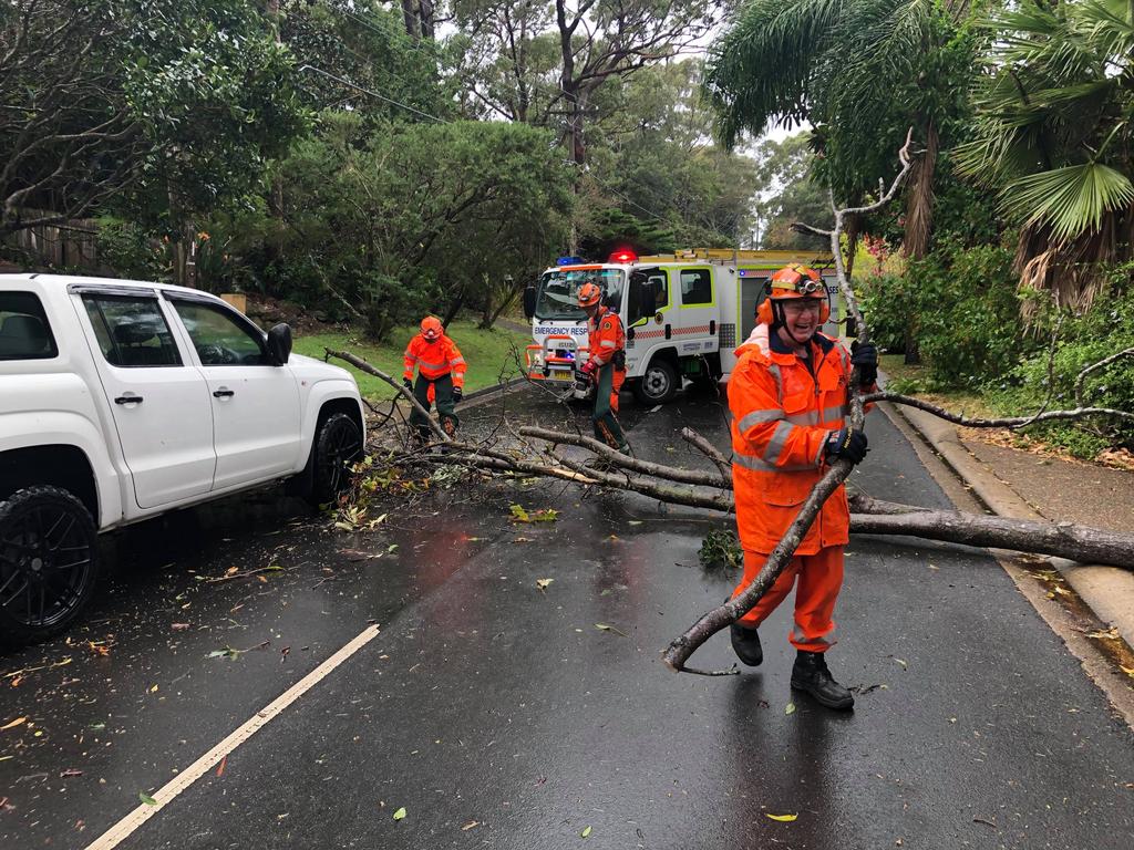 SES NSW crews attend to a fallen tree in Newport. Picture: SES NS Pittwater/Warringah unit.