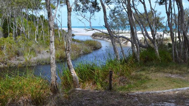 A girl has been airlifted to hospital after an allergic reaction to a jellyfish sting at Woralie Creek in K'gari. Picture: DES