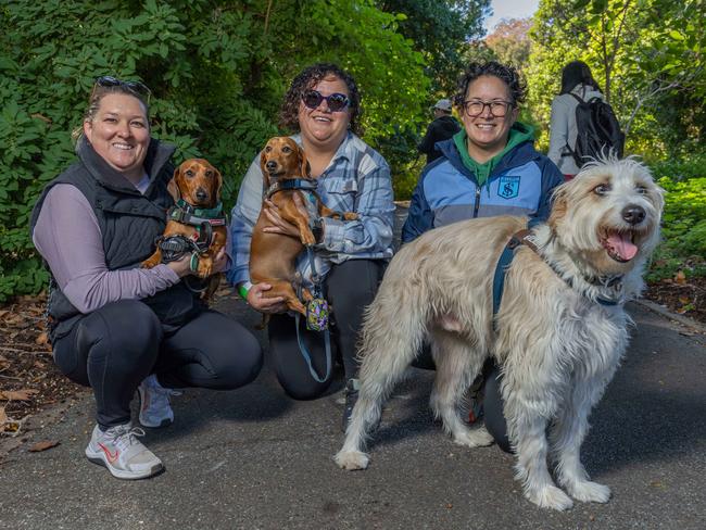 RSPCA SA's Million Paws Walk in Adelaide on May 25, 2025. Picture: Ben Clark