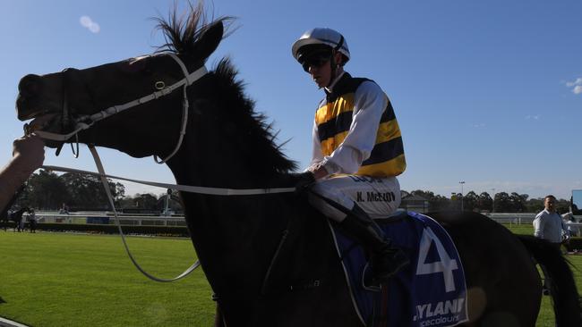 Chris Waller import High Bridge has impressed in his three runs in Australia and will be in the mix again in the Listed Tattersall’s Club Cup at Randwick. Picture: AAP