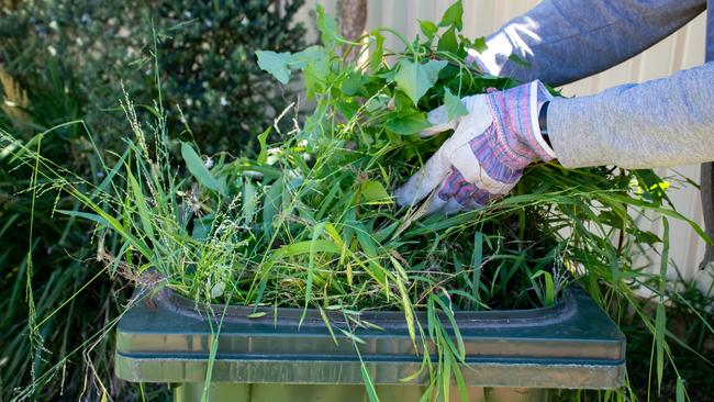 Ipswich councillors voted unanimously to run a promotion encouraging residents to opt into the green waste service during the Ipswich Show this month.