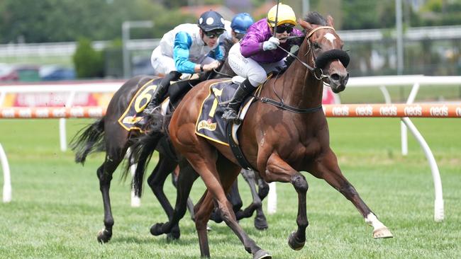 Smart sprinter Is It Me will go around at double figure odds in Wednesday’s Wangoom Handicap. Picture: Racing Photos via Getty Images.