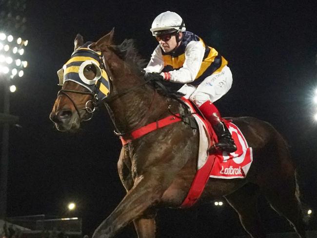 Toregene (NZ) ridden by Dean Yendall wins the BM64 Handicap - Melbourne Cup Carnival Country Series Heat 3 at Cranbourne Racecourse on October 07, 2022 in Cranbourne, Australia. (Photo by Scott Barbour/Racing Photos via Getty Images)