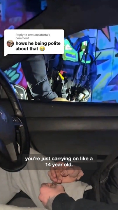 'Goose': Cops' spray over driver's idiotic act