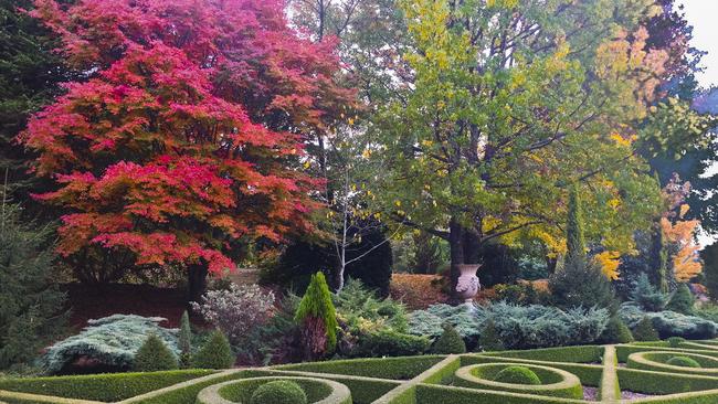 Autumn colours at Narbethong Farm.