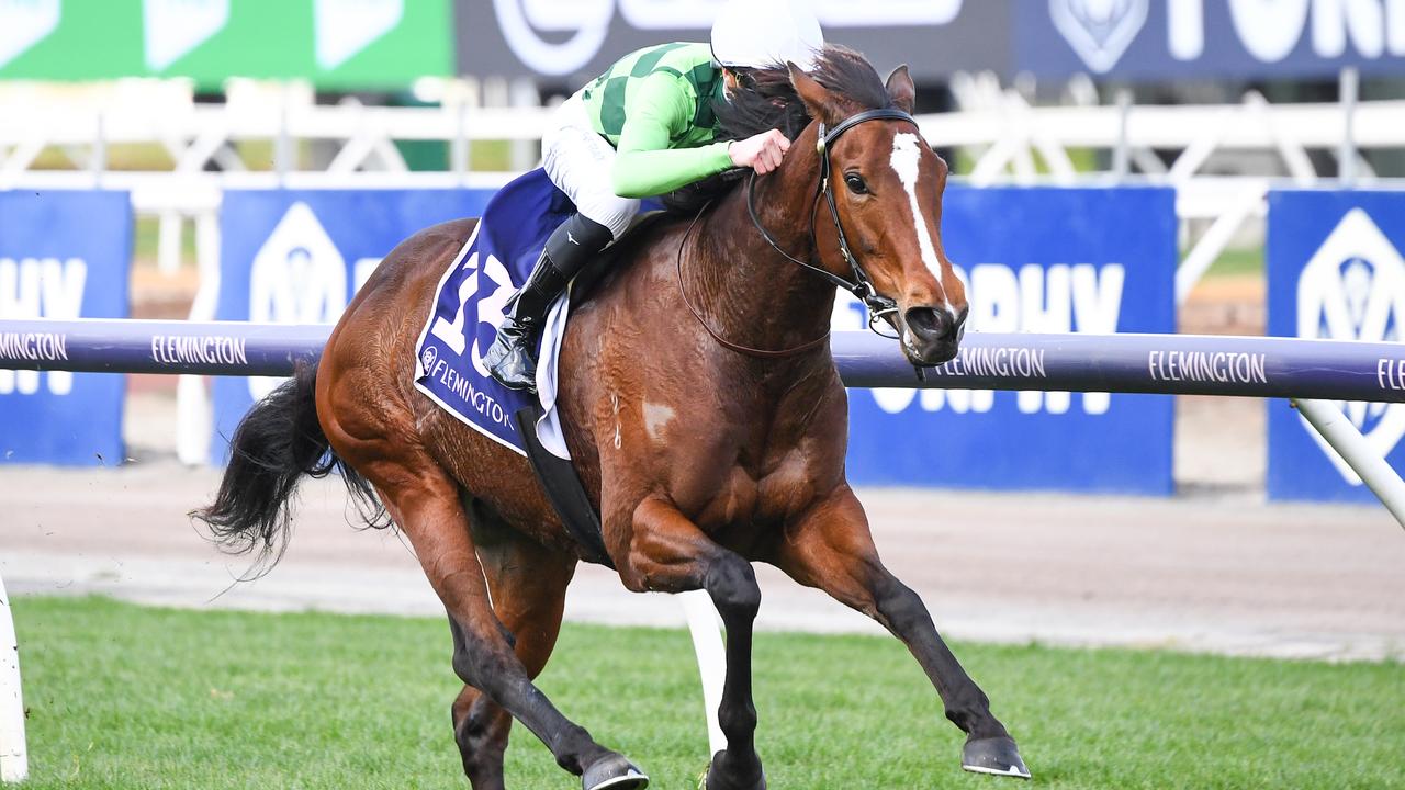 Talented import Turaath won her last four starts before heading out for  a seven-week spell. Picture : Racing Photos via Getty Images.