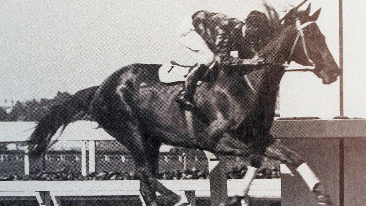 PIRATE: 1931. Phar Lap wins the WS Cox Plate.