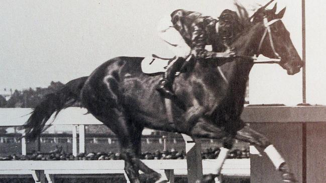 One of the few photos of the great Phar Lap winning the 1931 Cox Plate.