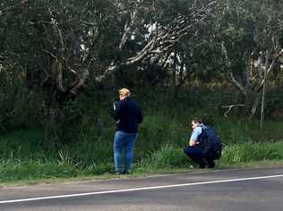 Police searching for any clues on the disappearance of missing backpacker Theo Hayez. Picture: Christian Morrow