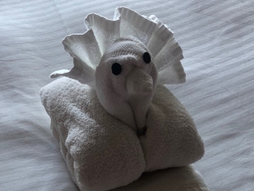 carnival cruise towel animals