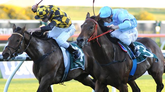 Avoid Lightning, right, has drawn ideally in the June Stakes. Picture: Simon Bullard