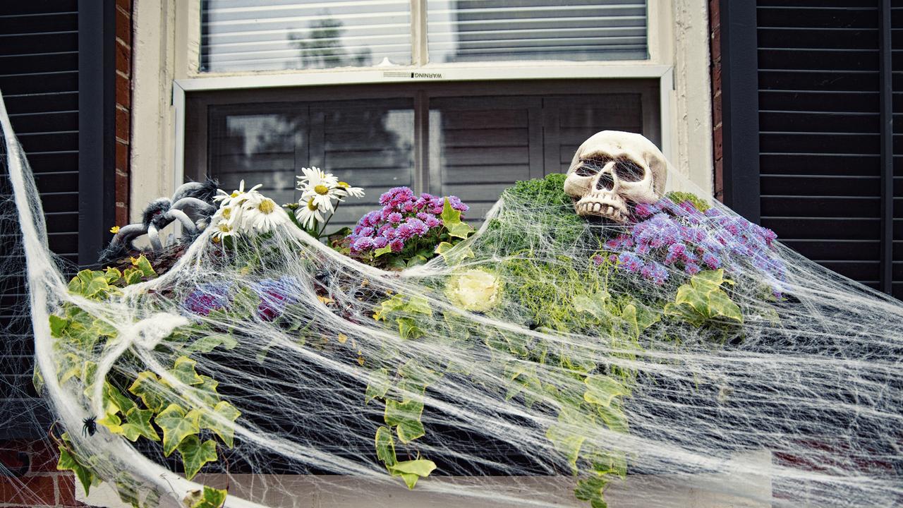 Council warns Brisbane residents over Halloween decorations Geelong