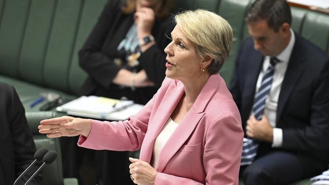 CANBERRA, AUSTRALIA - NewsWire Photos - November 18, 2024: Minister for the Environment and Water of Australia, Tanya Plibersek during Question Time at Parliament House in Canberra. Picture: NewsWire / Martin Ollman