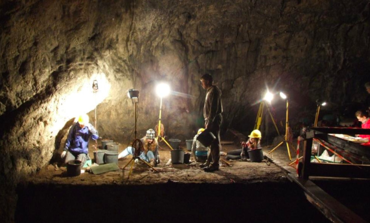 A research team in Poland say they've discovered the country's oldest Neanderthal remains. Picture: Professor Paweł Valde-Nowak.