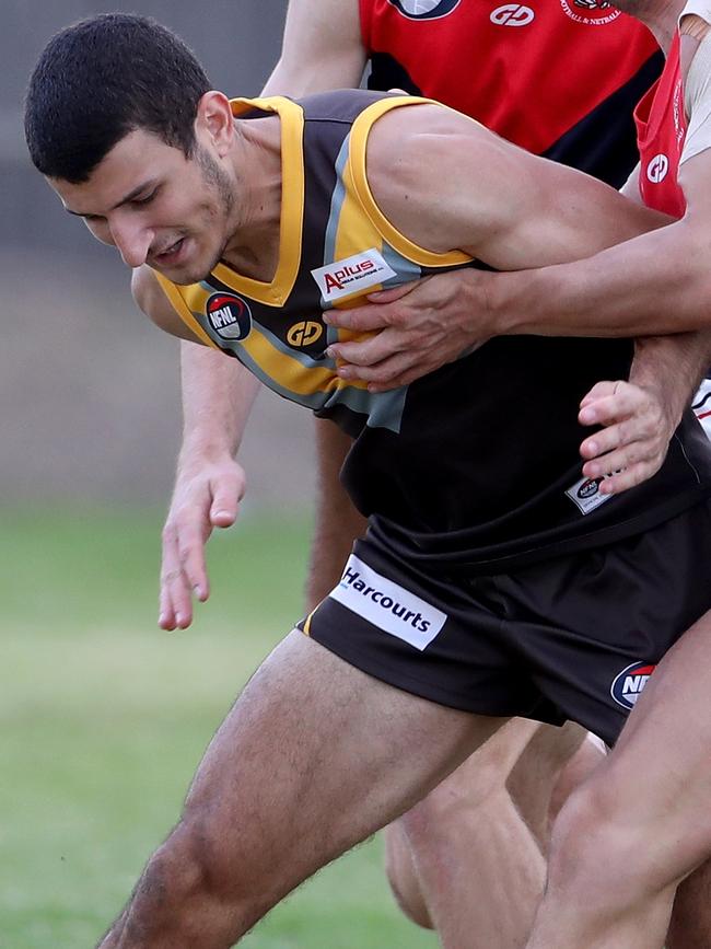 Daniel Caruso in action for Thomastown.