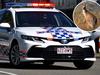 Pair badly hurt in kangaroo car crash near Mick Dundee Pub