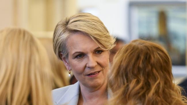 Ms Plibersek weathered scathing criticism from both environmentalists and industrialists during her time as environment minister. Picture: NewsWire / Martin Ollman