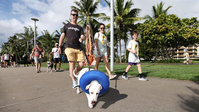 Phil Downes, Hannah Downes and William Downes, 9, walk their dog Elanor at the RSPCA's Million Paws Walk fundraiser, held along the Cairns Esplanade. Picture: Brendan Radke